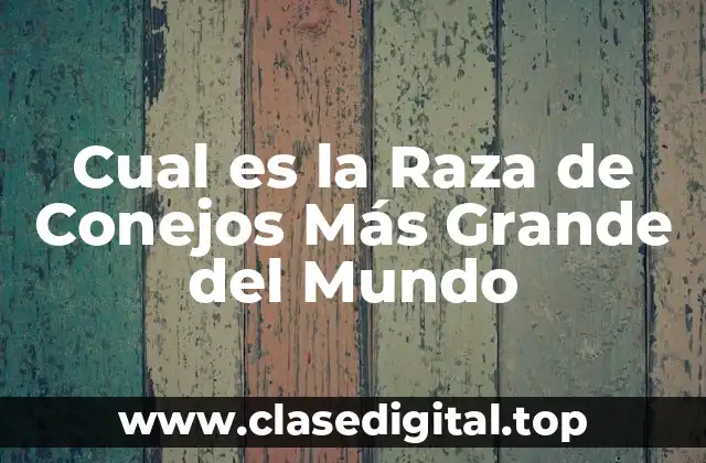 Cual es la Raza de Conejos Más Grande del Mundo