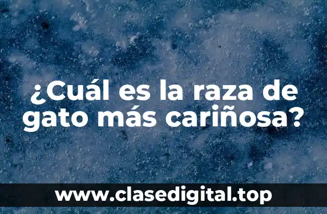 ¿Cuál es la raza de gato más cariñosa?