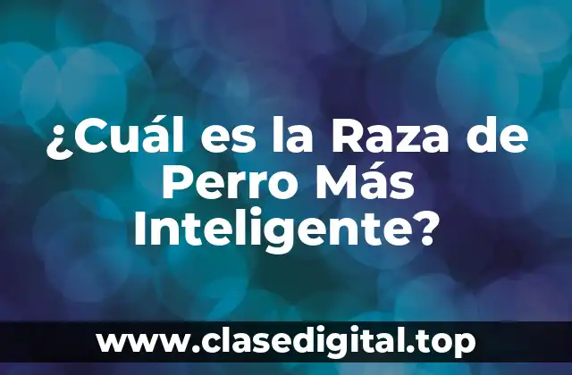 ¿Cuál es la Raza de Perro Más Inteligente?