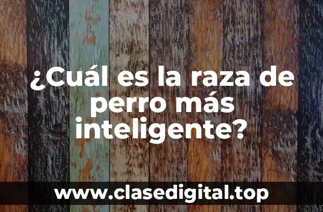 Definición de inteligencia canina