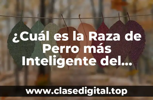 ¿Cuál es la Raza de Perro más Inteligente del Mundo?