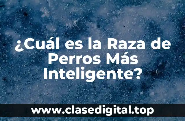 ¿Cuál es la Raza de Perros Más Inteligente?
