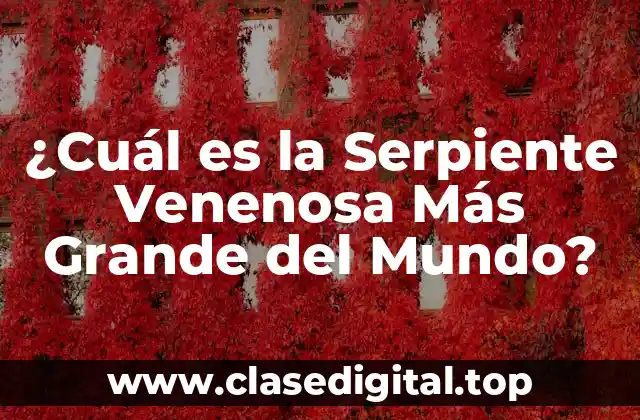¿Cuál es la Serpiente Venenosa Más Grande del Mundo?