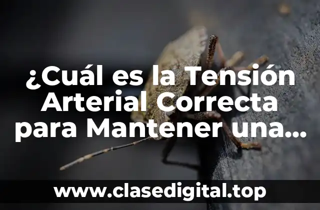 ¿Cuál es la Tensión Arterial Correcta para Mantener una Salud Óptima?