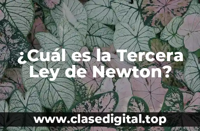 La Enunciación de la Tercera Ley de Newton