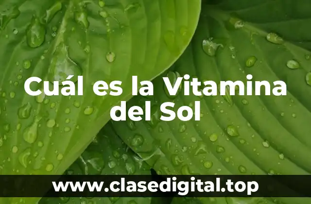 Cuál es la Vitamina del Sol