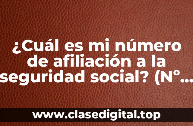 ¿Cuál es mi número de afiliación a la seguridad social? (Nº NSS)