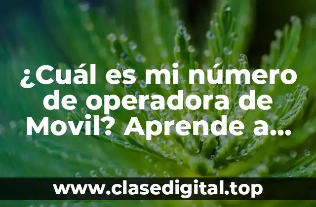 ¿Cuál es mi número de operadora de Movil? Aprende a encontrarlo
