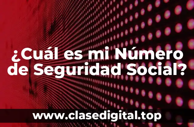 ¿Cuál es mi Número de Seguridad Social?