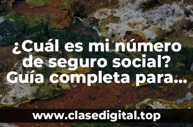 ¿Cuál es mi número de seguro social? Guía completa para encontrarlo