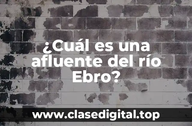 ¿Cuál es una afluente del río Ebro?