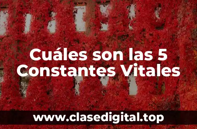 Cuáles son las 5 Constantes Vitales