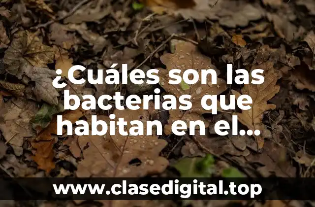 ¿Cuáles son las bacterias que habitan en el estomago?