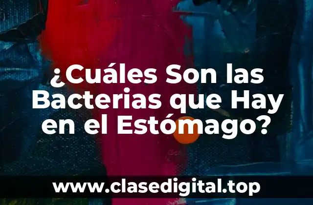 ¿Cuáles Son las Bacterias que Hay en el Estómago?