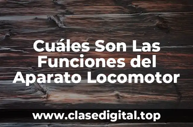 Cuáles Son Las Funciones del Aparato Locomotor