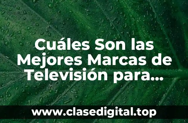 Cuáles Son las Mejores Marcas de Televisión para Comprar en 2023