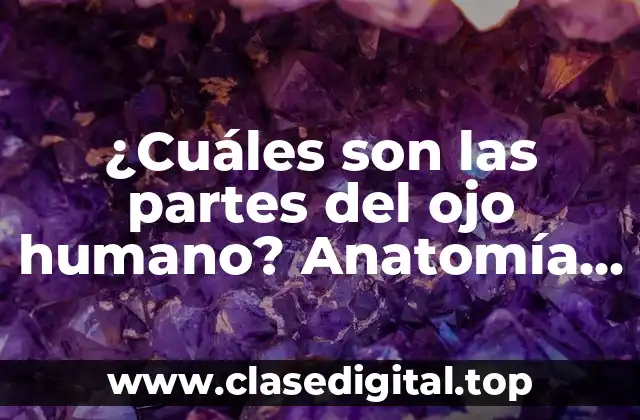 La córnea: la primera barrera del ojo