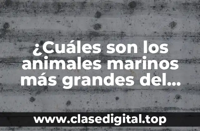 ¿Cuáles son los animales marinos más grandes del mundo?