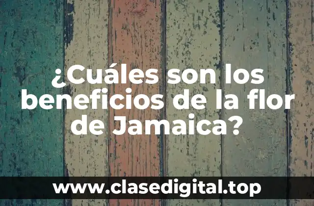 ¿Cuáles son los beneficios de la flor de Jamaica?