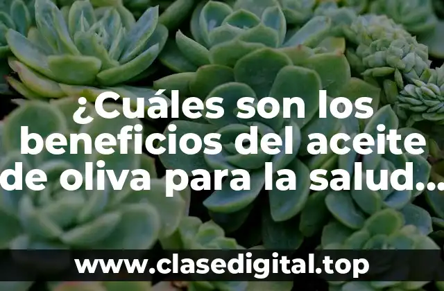 ¿Cuáles son los beneficios del aceite de oliva para la salud y la cocina?