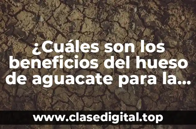 ¿Cuáles son los beneficios del hueso de aguacate para la salud y la belleza?