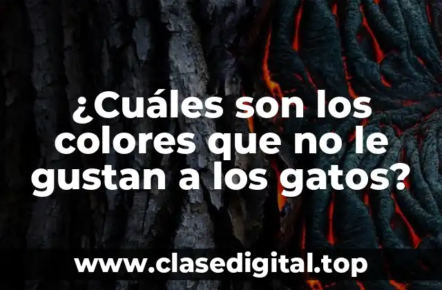 ¿Cuáles son los colores que no le gustan a los gatos?
