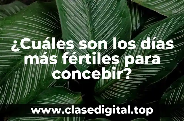 Cómo funciona la fertilidad