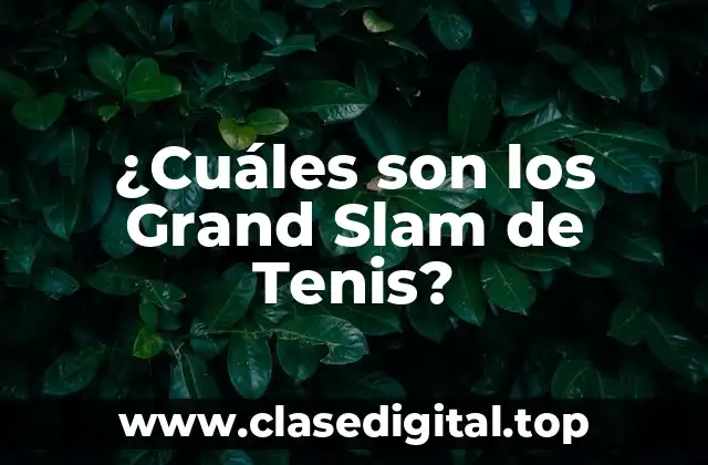 ¿Cuáles son los Grand Slam de Tenis?