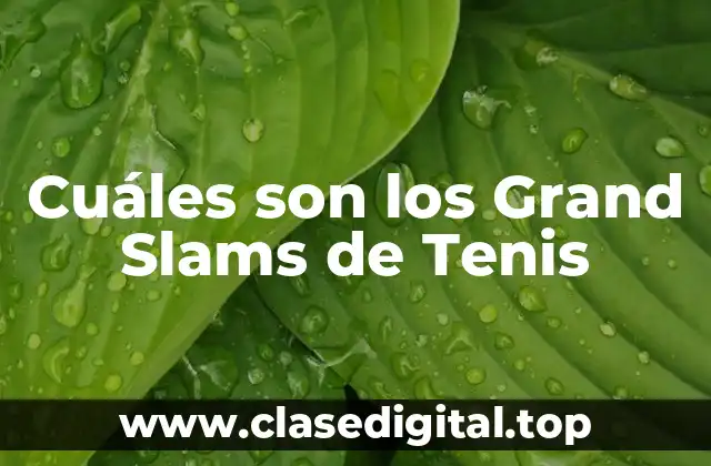 Cuáles son los Grand Slams de Tenis