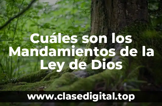 El Primer Mandamiento: Adorar solo a Dios