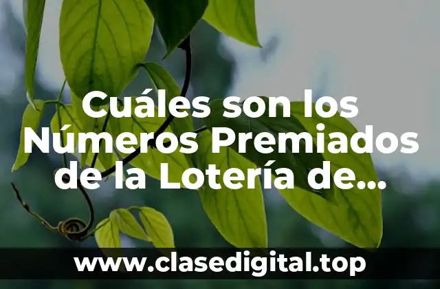 Orígenes y Evolución de la Lotería de Navidad