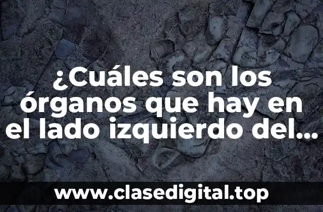 El estómago y su papel en la digestión