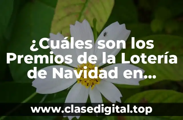 ¿Cuáles son los Premios de la Lotería de Navidad en España?