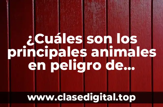 ¿Cuáles son los principales animales en peligro de extinción, como el oso polar?