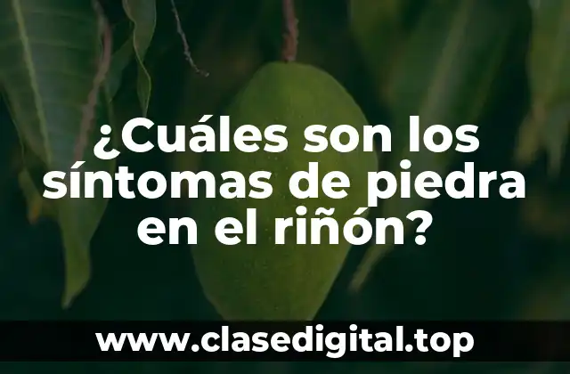 ¿Qué causan las piedras en el riñón?