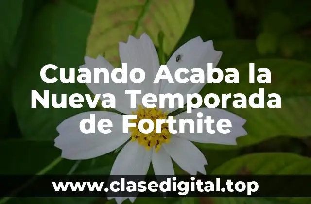 Cuando Acaba la Nueva Temporada de Fortnite