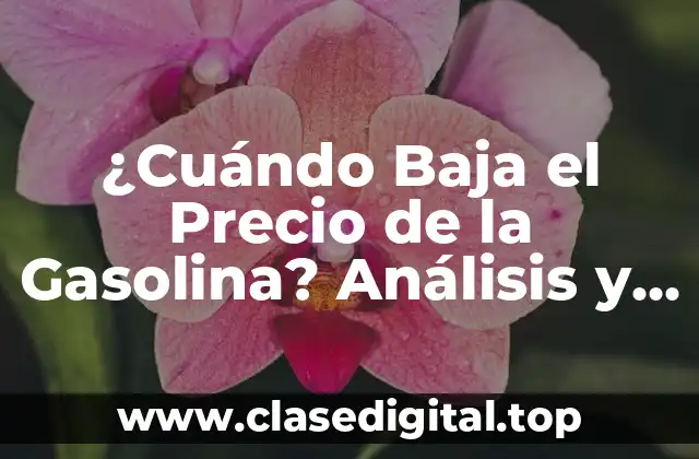 ¿Cuándo Baja el Precio de la Gasolina? Análisis y Predicciones