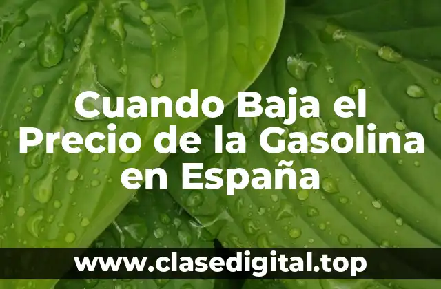 Cuando Baja el Precio de la Gasolina en España