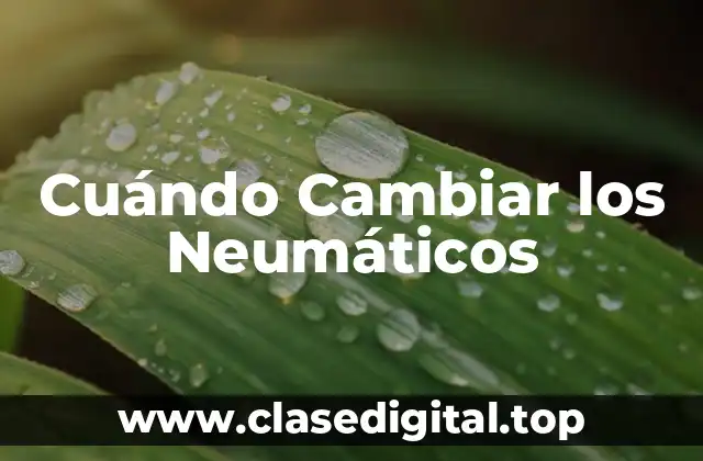 Cuándo Cambiar los Neumáticos
