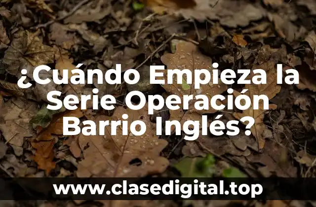 ¿Cuándo Empieza la Serie Operación Barrio Inglés?