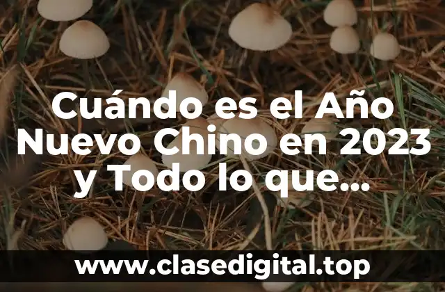 Cuándo es el Año Nuevo Chino en 2023 y Todo lo que Necesitas Saber