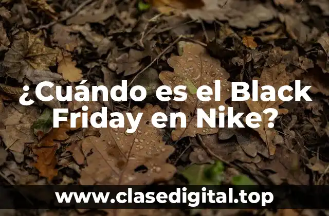 ¿Cuándo es el Black Friday en Nike?