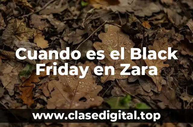 Cuando es el Black Friday en Zara