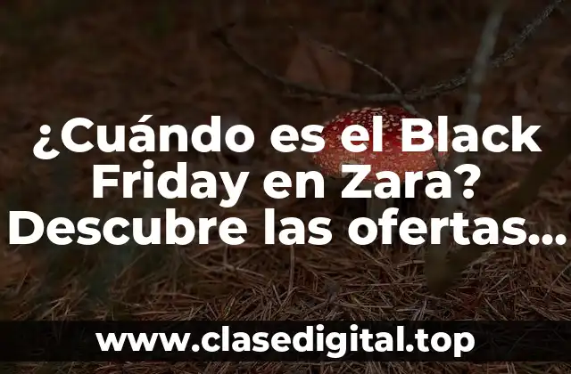 Orígenes del Black Friday y su impacto en el comercio
