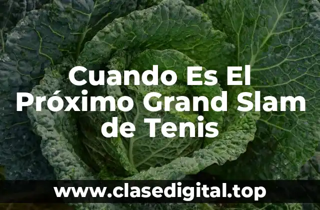 Cuando Es El Próximo Grand Slam de Tenis