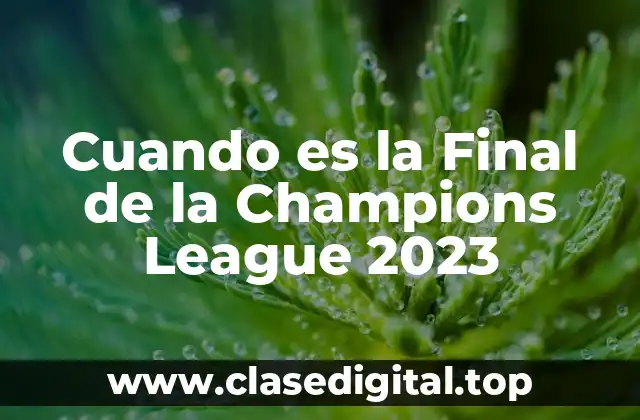 Cuando es la Final de la Champions League 2023