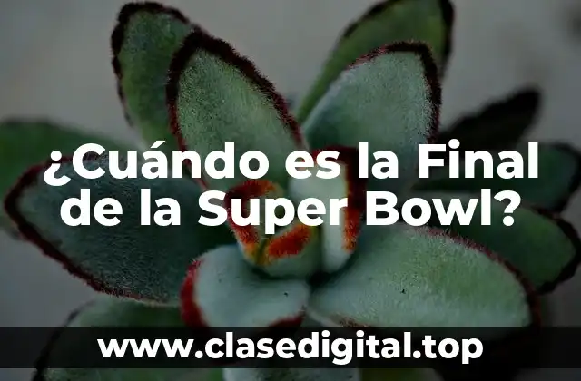 ¿Cuándo es la Final de la Super Bowl?