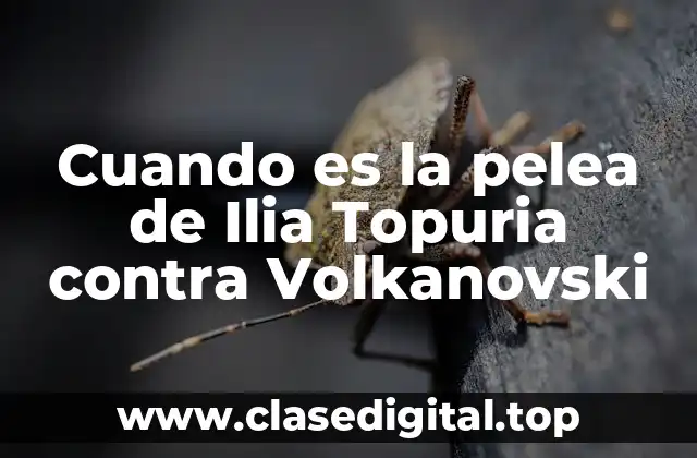 Cuando es la pelea de Ilia Topuria contra Volkanovski