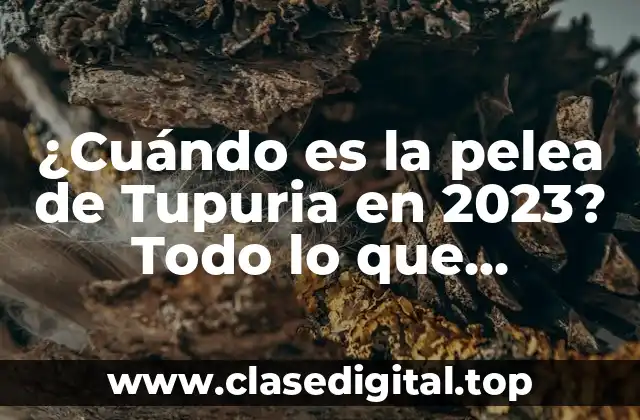 ¿Cuándo es la pelea de Tupuria en 2023? Todo lo que necesitas saber