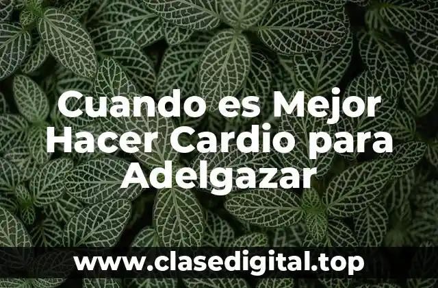 ¿Por qué es Importante Hacer Cardio para Adelgazar?